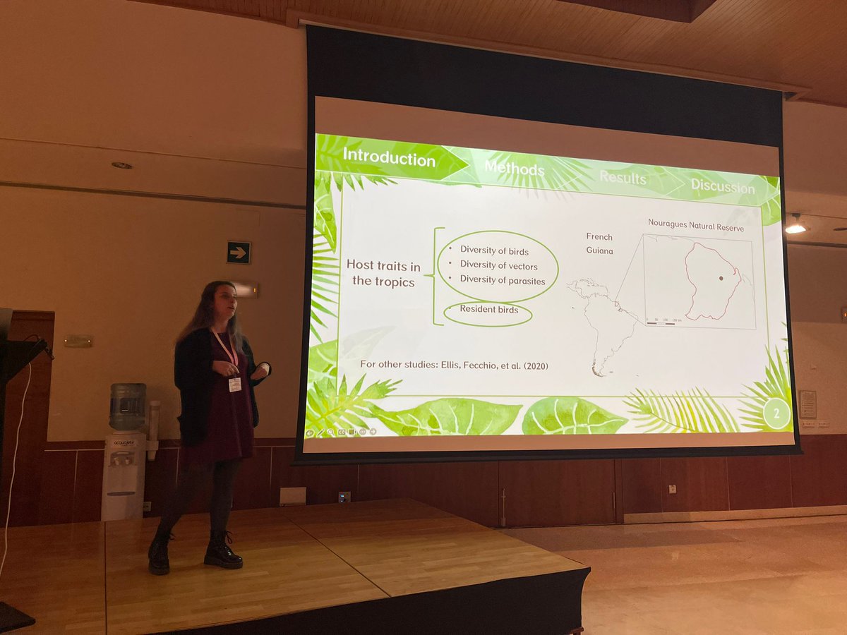 LuciaJG95's tweet photo. I hace just presentes one of the chapters of my PhD during the #SESBE2024 in Málaga. If you want to know more about avian blood paraites in French Guiana, contact me! https://t.co/6NTpZt4EaC