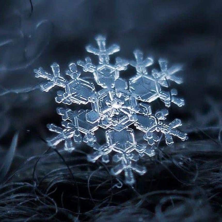 InformaCosmos's tweet photo. Macrofotografía de un copo de nieve. ❄ https://t.co/SkKsJgTyKQ
