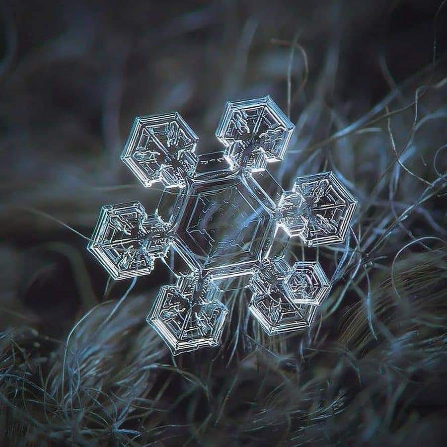 InformaCosmos's tweet photo. Macrofotografía de un copo de nieve. ❄ https://t.co/SkKsJgTyKQ