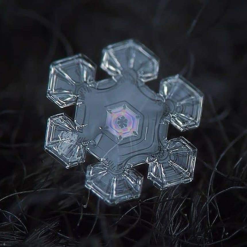 InformaCosmos's tweet photo. Macrofotografía de un copo de nieve. ❄ https://t.co/SkKsJgTyKQ