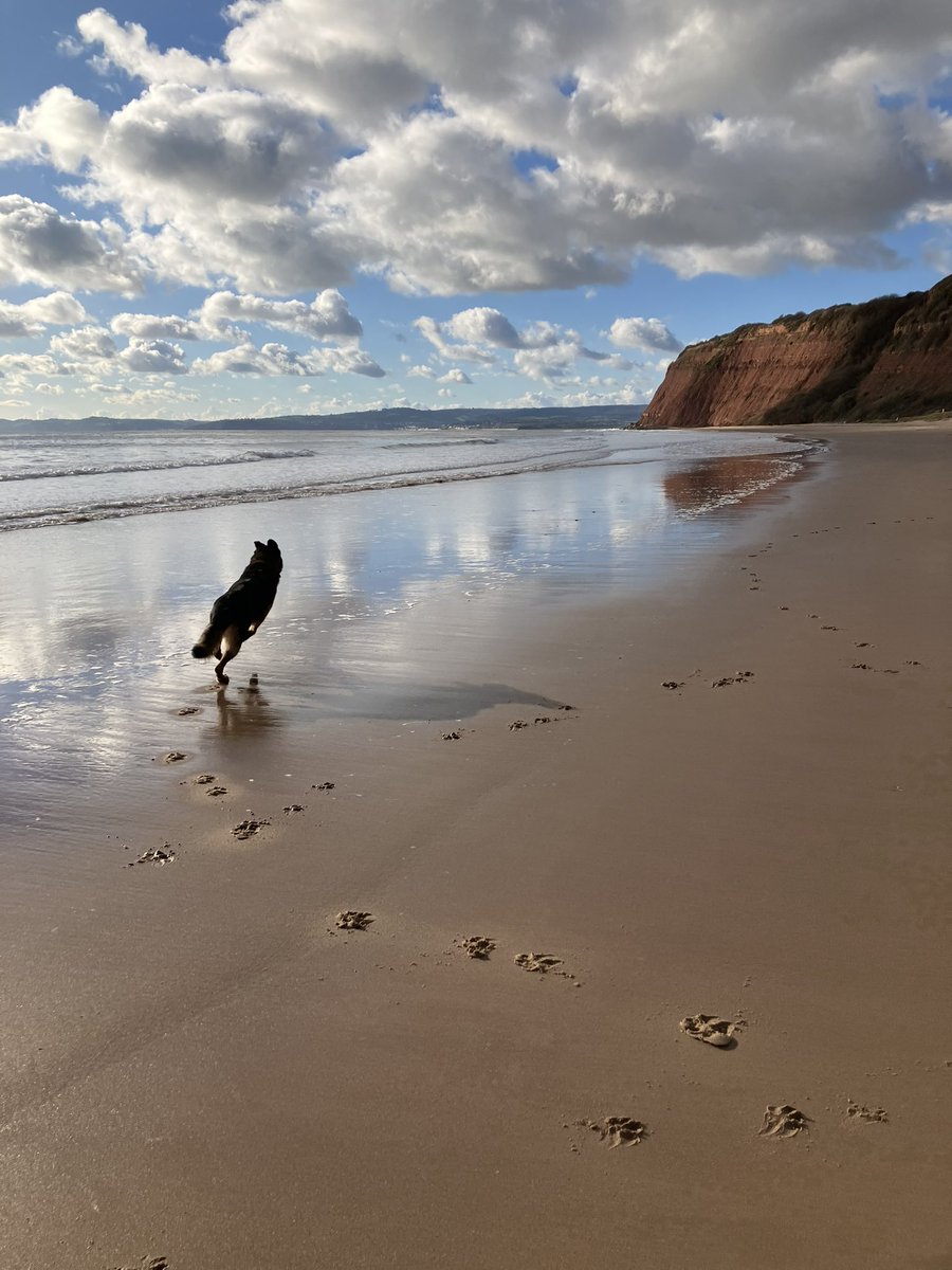 🥶 start but ☀️ out and 🏝️ to ourselves #restdayfun #happydog