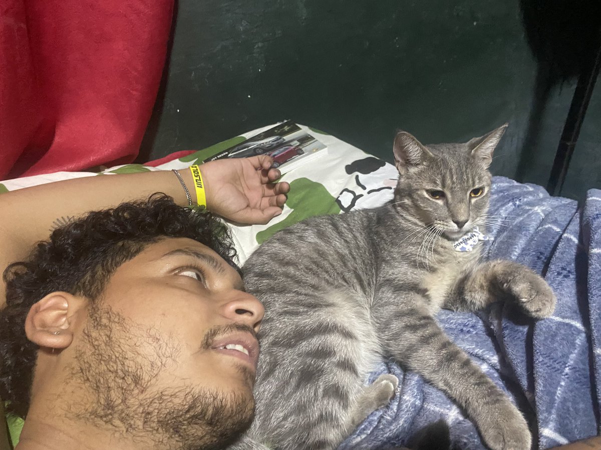 卩卂卩á ᗪ乇 卩乇尺ㄥ丨ㄒ卂 tweet media