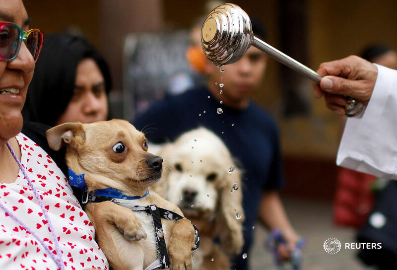 A woman holds her dog to be blessed by a priest during a ceremony commemorating the Feast of San Antonio Abad, the patron saint of domestic animals, in Xochimilco on the outskirts of Mexico City reut.rs/3S6VqAc  📷 Raquel Cunha