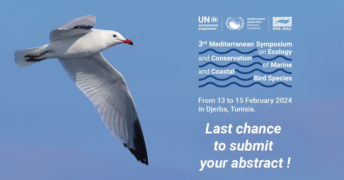 🦅 🔭🧬 Register now for the 3rd Mediterranean Symposium on Ecology and Conservation of Marine and Coastal Bird Species! Last chance to submit an abstract and participate in the event➡️ act4med-marinebirds.org/registration/ #Act4Med #MarineBirds #MedSymposia