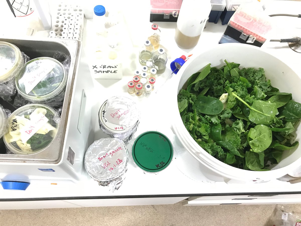 BritGeoMicro tweet media