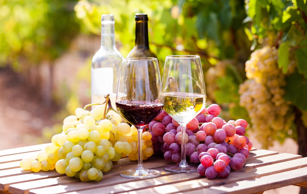 MyStart_com's tweet photo. Join us on our virtual journey through Argentina's enchanting vineyards, where every sip unveils a new dimension of deliciousness. 🍇🌄 #ExploreTheWorld #ArgentinasWineRevelation #WineLoversUnite

🍷 https://t.co/HNWfzSYbBQ https://t.co/48EHQx8Sai