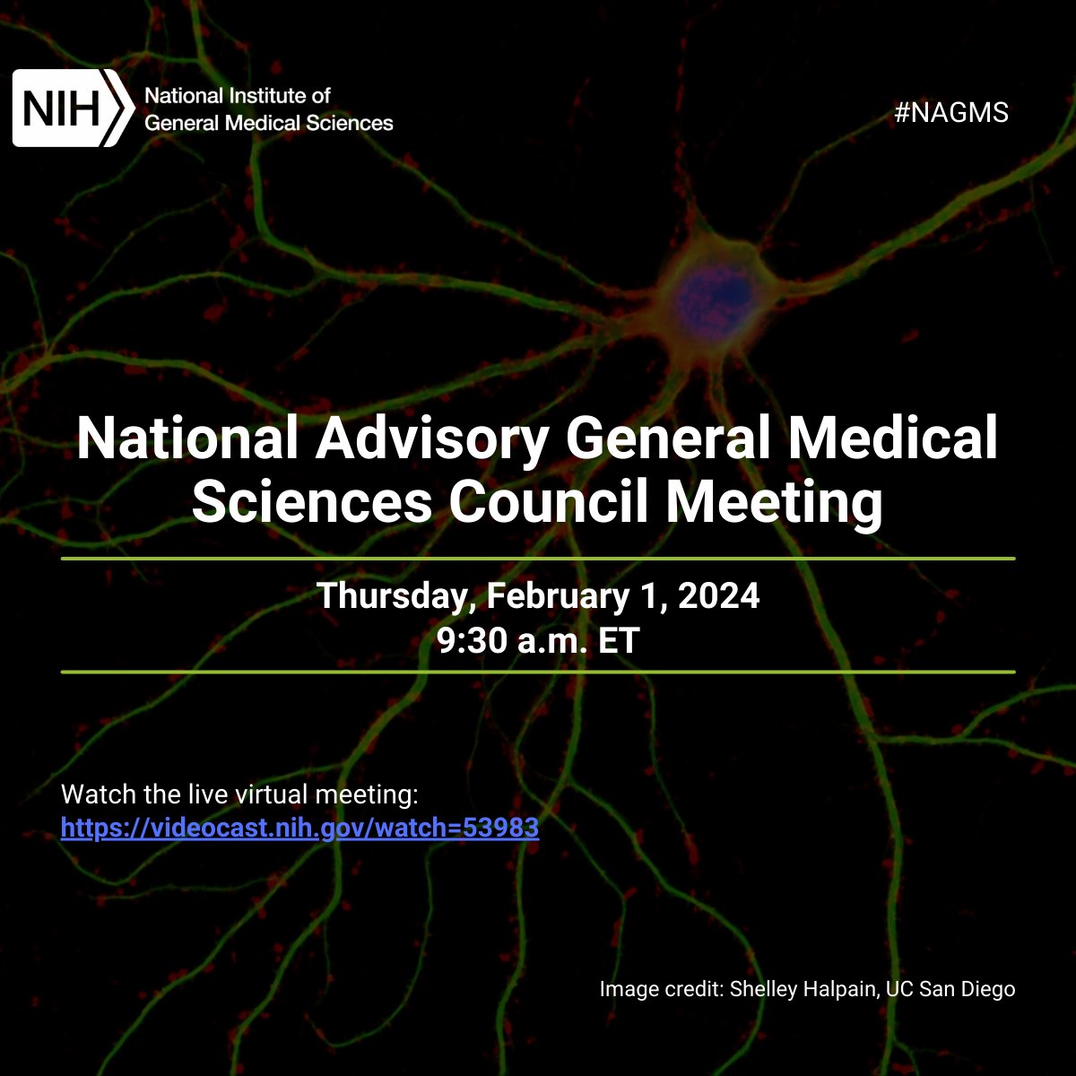 Curious about how #NIGMS makes decisions about program development, implementation, and evaluation? Join our #NAGMS Council meeting on Thursday, February 1, at 9:30 a.m. ET to learn more! go.nih.gov/awmhRhH