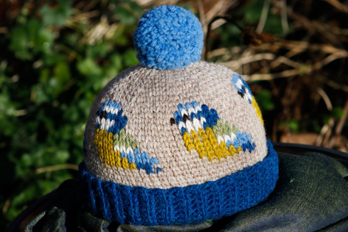 Anett Kiss tweet media