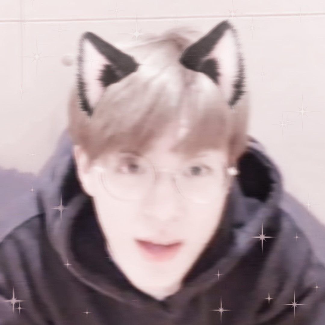 meow🐈‍⬛                                          meow~ 🐾