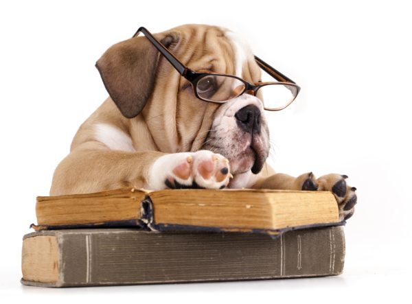 S1 Exams &amp; Final Culminating Activities:  Jan. 24-30th. Please refer to emails sent by classroom teachers for specific details related to each course.