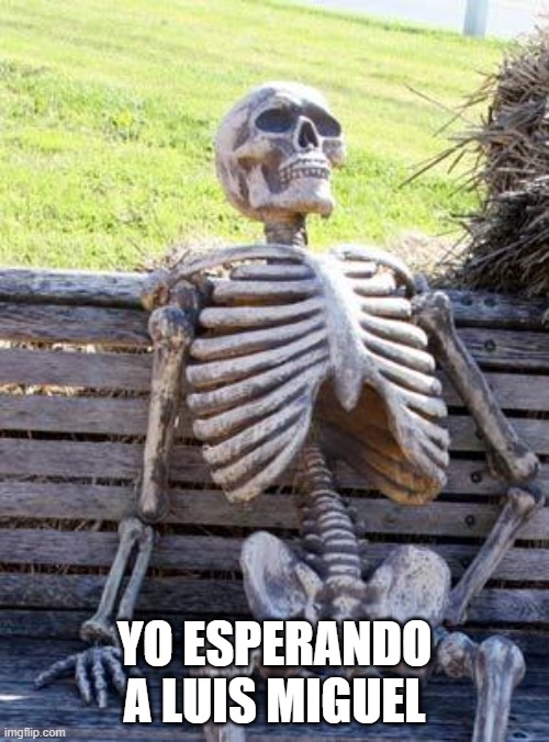 Así quedaron la gente esperando a #LuisMiguel anoche jajajajaja #LuisMiguelTour2024