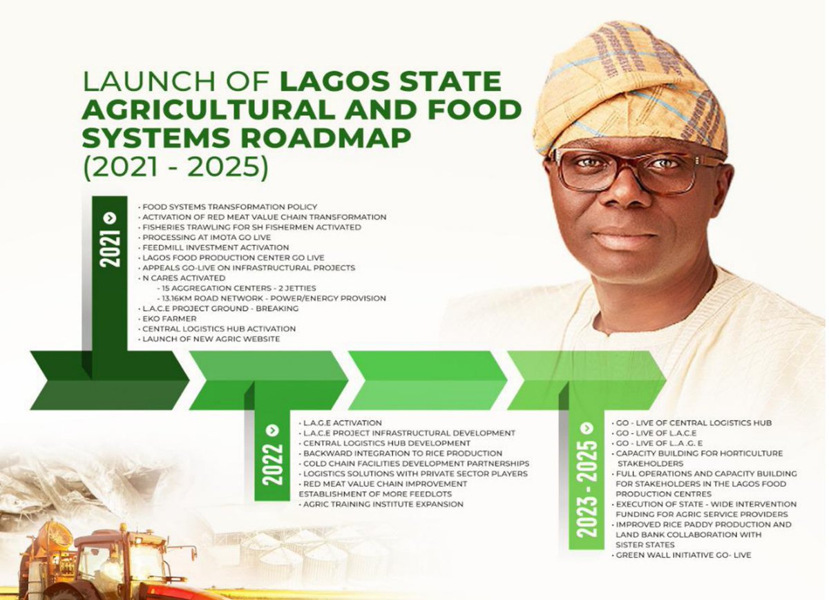 Abisola Olusanya | The Lagos Food Architect tweet media