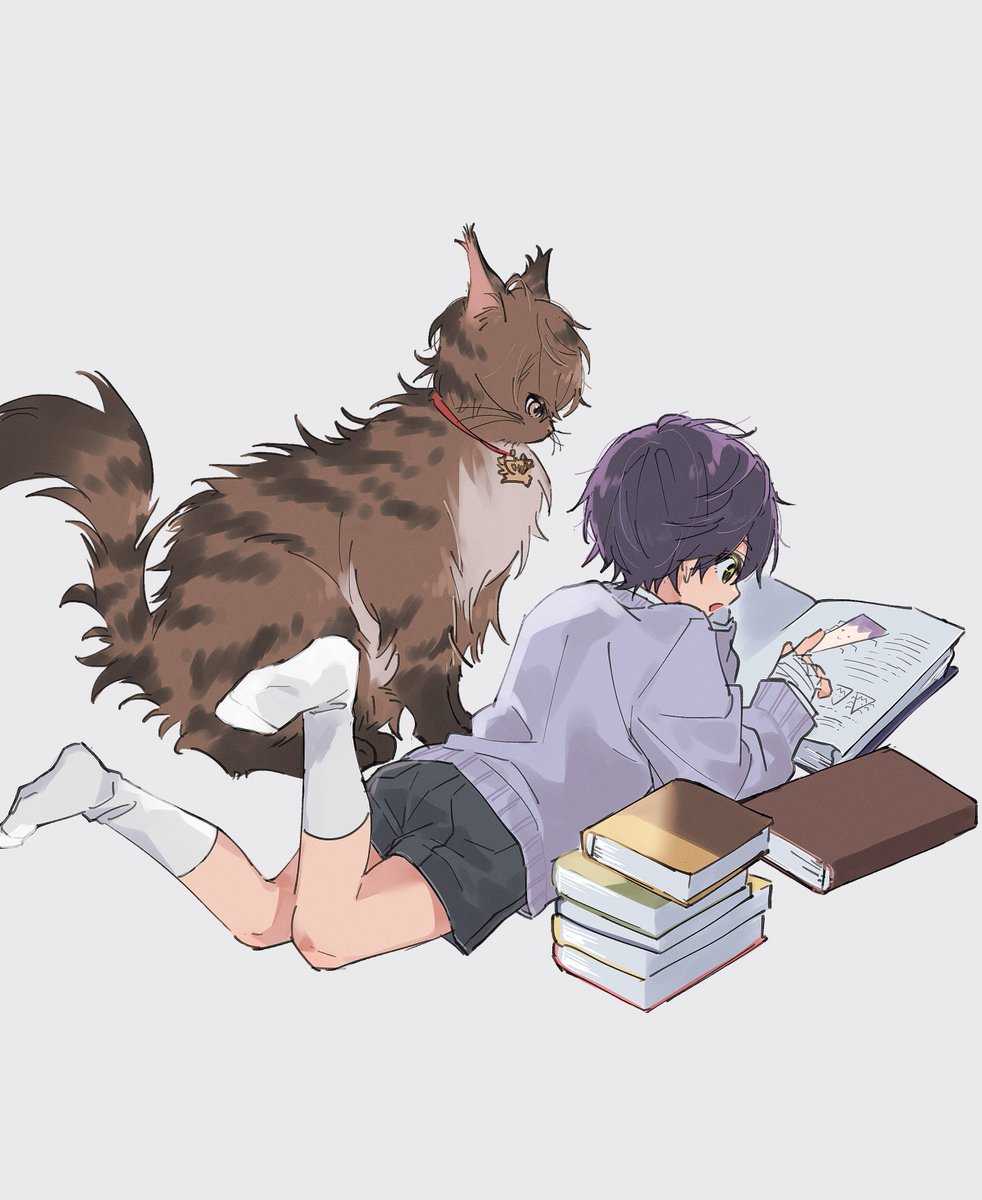 Post by 食ｯﾀ on X: ｼｮﾀと🐈