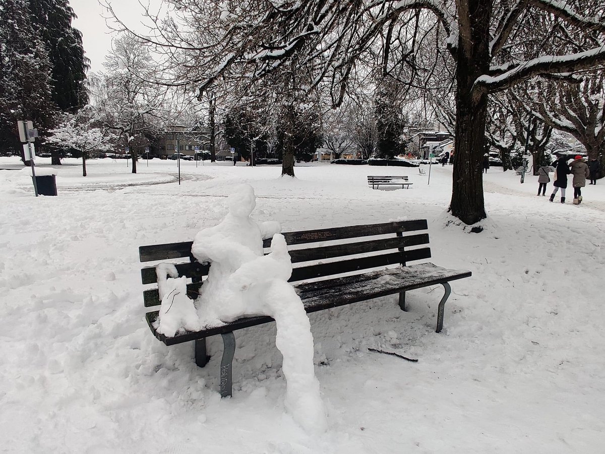 AnaIsabelZepeda's tweet photo. Los vecinos se pusieron creativos, vean las obras de arte callejeras que se aventaron ☃️. Además aprovecharon la acumulación de nieve para salir a divertirse haciendo deportes invernales. 🥶 https://t.co/AZ0blKW4iD