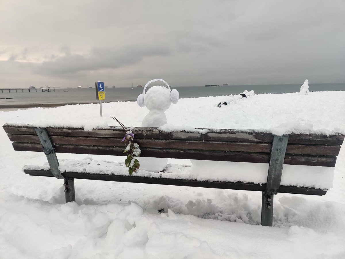 AnaIsabelZepeda's tweet photo. Los vecinos se pusieron creativos, vean las obras de arte callejeras que se aventaron ☃️. Además aprovecharon la acumulación de nieve para salir a divertirse haciendo deportes invernales. 🥶 https://t.co/AZ0blKW4iD
