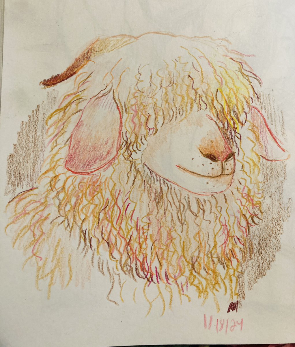 「A little sheep warm up」|Rowanのイラスト