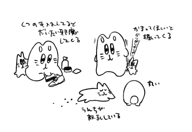最近のうさぎ 