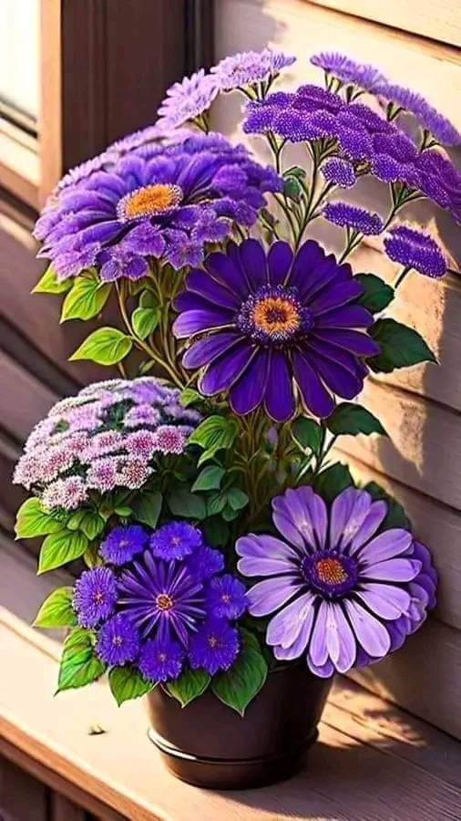 DelValleGreen's tweet photo. Busquemos en las pequeñas cosas, los grandes motivos para estar felices y agradecidos!!! Bonitodía!!! https://t.co/xJb5dzErpw