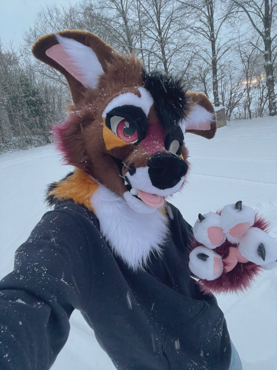 dorado_jackal's tweet photo. I know it’s snowing 
I can warm you up if you’re cold ��� https://t.co/IrAlPDz1ae