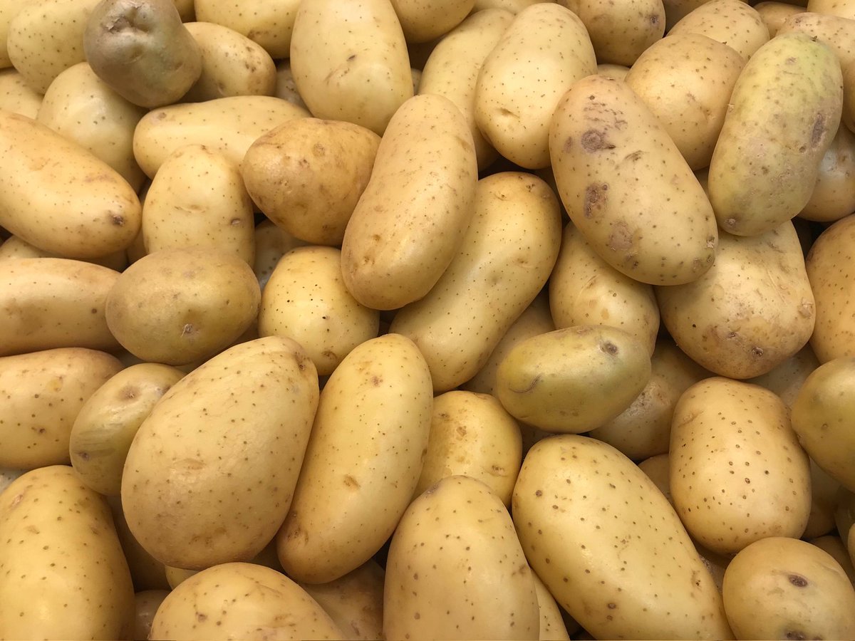 Messistabionico's tweet photo. La mejor comida del mundo? La papa, se puede de todas las formas, frita, hervida en ensalada, tortilla de papa, pastel de papa, bomba de papa, pure de papa, pan de papa, snacks, papas al horno, papas fritas y MAS, AMO LAS PAPAS https://t.co/FJgh8daKTh