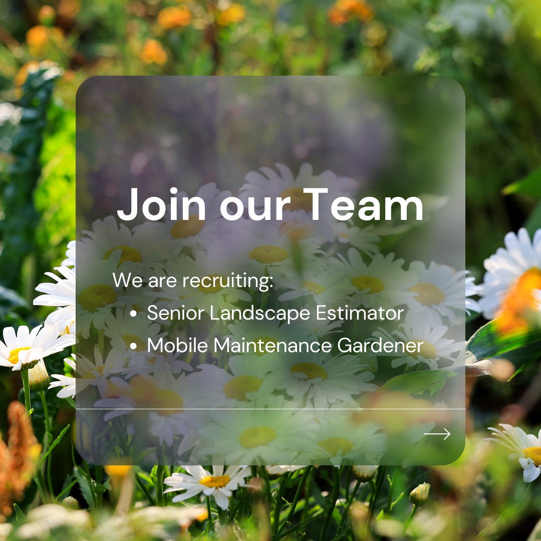 🌿 Join our Team! Currently recruiting:

1. Senior Landscape Estimator 🌱 Ready to calculate and create stunning landscapes?
2. Mobile Maintenance Gardener 🚗 based in &amp; around London?
bit.ly/3SdP4kg

#LandscapingJobs #EstimatorJobs #GardenMaintenance #GardenersWanted