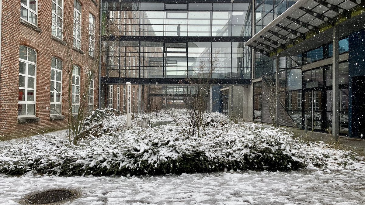 univ_lille's tweet image. 🌨️ Le campus Moulins-Lille sous la neige 🥶 #ULille