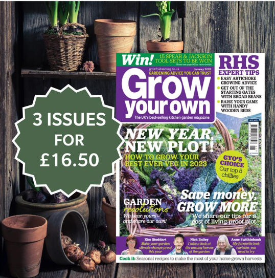 Starting to think about what to grow in your veg patch this year? Jump start your 2024 growing season with 3 issues of Grow Your Own magazine for only £16.50, saving you £1.49 EVERY issue! But hurry... this offer only lasts until the end of January! Visit growfruitandveg.co.uk/subscribe/