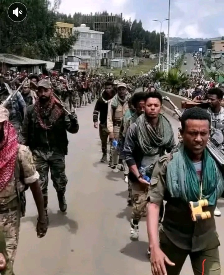 #ሌላ_የድል_ዜና!
ከደምበጫ ወደ ገሊላ ለማቅናት አስቦ የተንቀሳቀሰው የአንድ ግለሰብ ሥልጣን አስጠባቂው ሠራዊት ሮቢት ላይ በይርሣው ደምስ በሚመሩት ፋኖዎቻችን በደረሰበት መብረቃዊ ጥቃት 3 ፓትሮል ሙሉ አስክሬኑን ይዞ ወደመጣበት መፈርጠጡ ተሰምቷል!