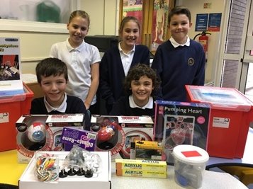🙌35 Glasgow primary schools have received their £700 #primaryscience grant so far this school year. We are very keen to get this funding out to the remaining 120 schools! What resources does your school need most?  <a href="/STEMglasgow/">STEM Glasgow</a> <a href="/MrsWrightHT/">Michelle Wright</a> See edinatrust.org.uk/glasgow-forms