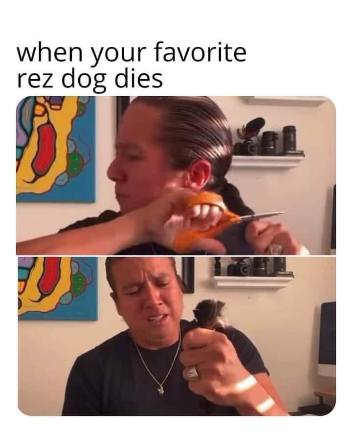 saverezdogs tweet media