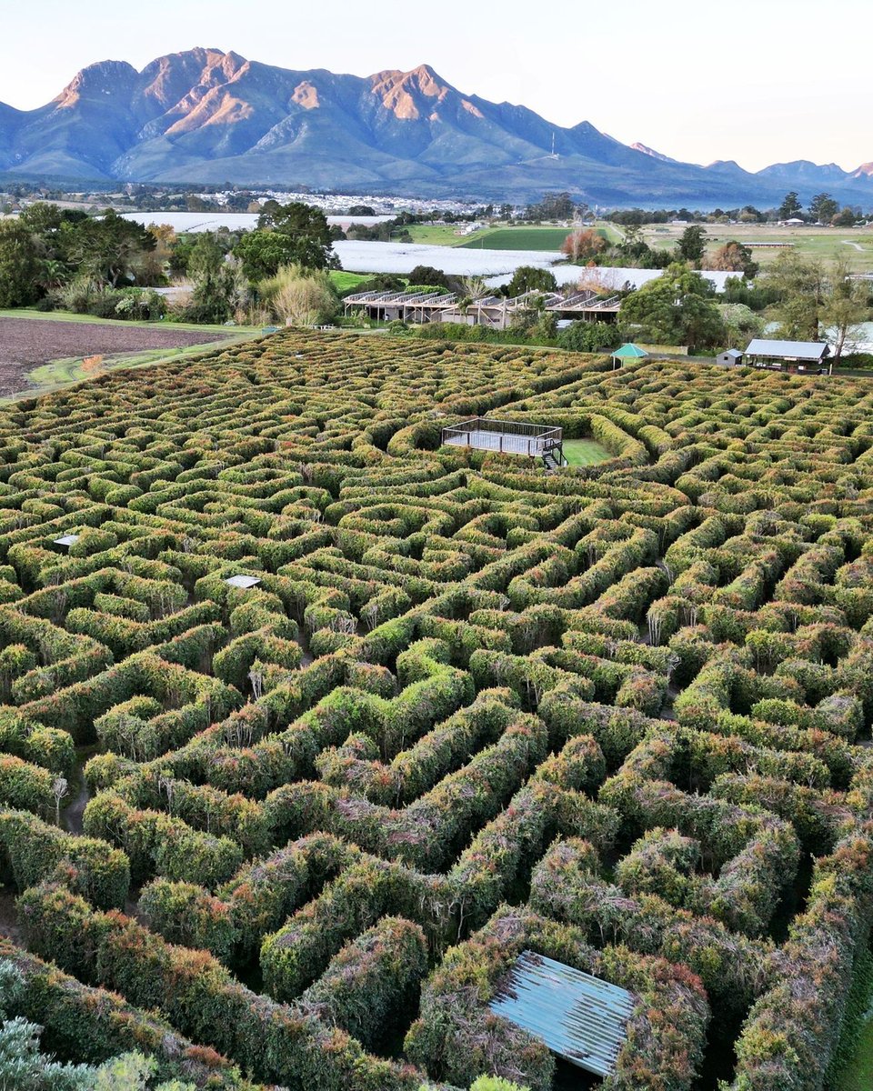 Redberry Farm Hedge Maze in George, South Africa 🇿🇦, is the largest permanent hedge maze in the southern hemisphere.