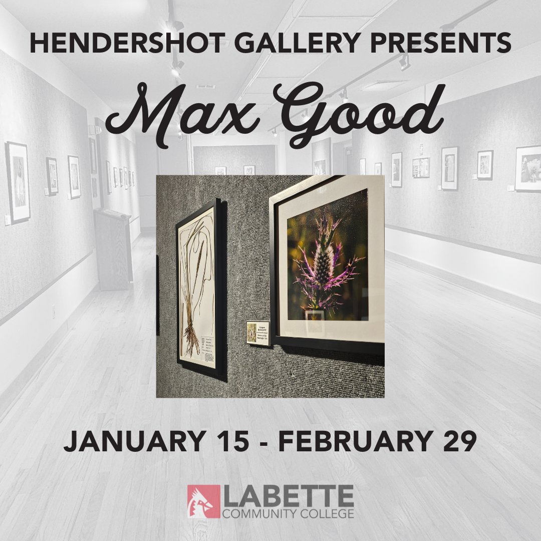 Come check out Max's beautiful exhibit!
