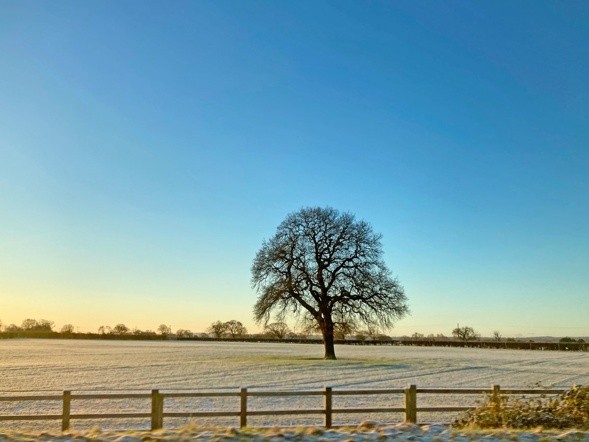 There are frosty scenes in the countryside around Hawarden. This one looks like it might inspire a piece of prose or poetry, so here's a Thursday writing challenge: share your favourite piece of chilly literature, or have a go at writing your own! #writingchallenge #ice #frost