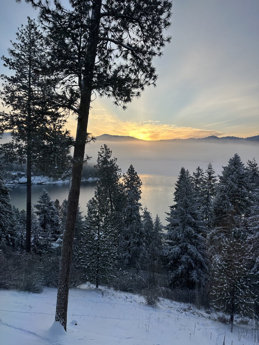 24cammo's tweet image. 