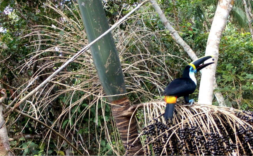 Ana Benítez (find me @anabenlop.bsky.social) tweet media