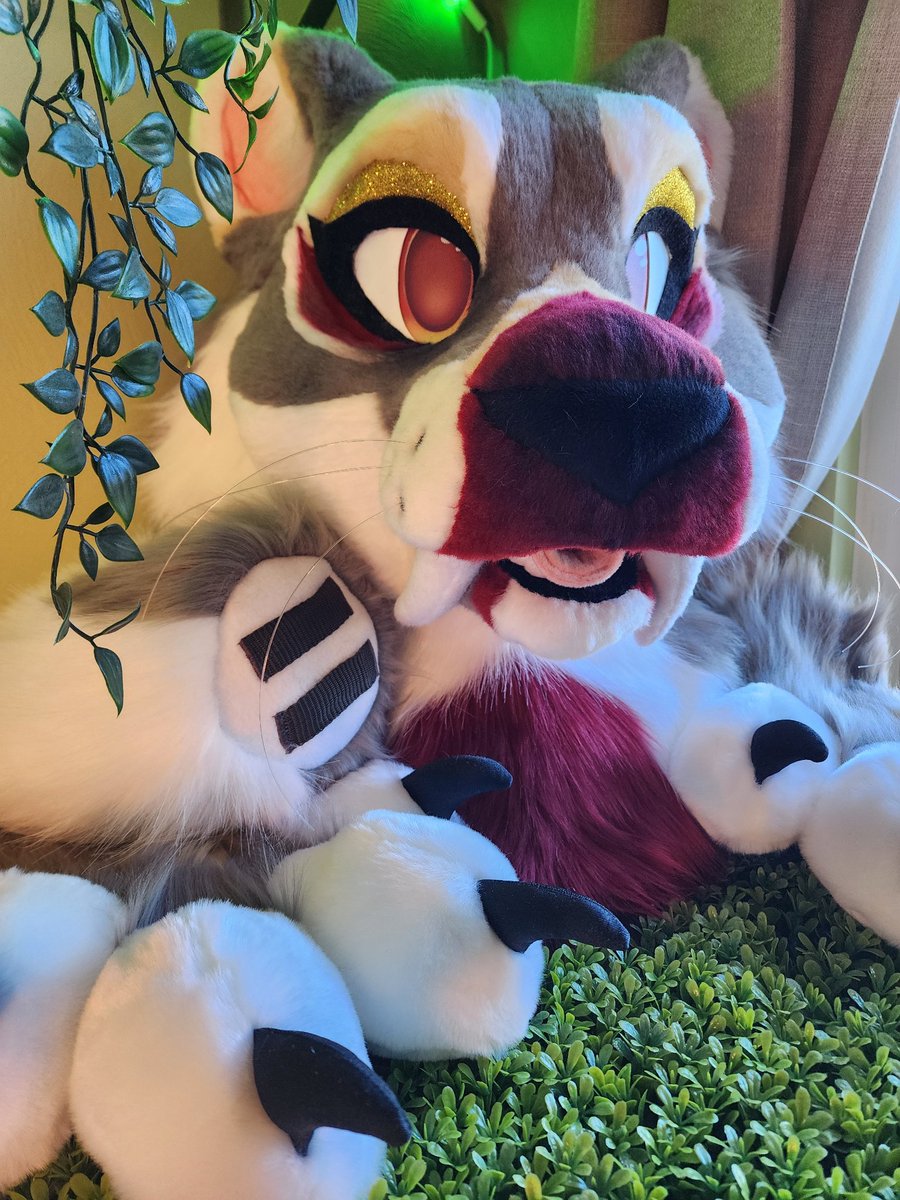 TBarkCreations's tweet photo. Today is the last day for the auction!🥳

You still have some time to snag them! But not long, so hurry over!
 https://t.co/Hdj4xoaBcj

#fursuit #fursuitmaker #fursuitforsale #furry #costume #FursuitEveryday https://t.co/mTc4MrEb12