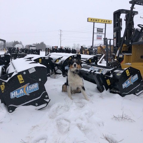 KentFarmSupply's tweet image. This fresh snow has Asher thinking its time to think cleanup. Blowers, pushers and buckets are ready for pick up @ #KentFarmSupplies #snowfall #snowcleanup