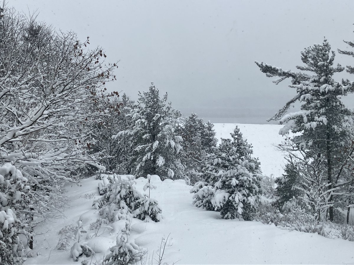 KillbearPP's tweet photo. So we're trying to keep up, but this is what it looks like when we have 7 days of snow in a row! We will pack the trails (again) this afternoon and set tracks tomorrow.
Lots of campsites available this weekend. BYOSS (Bring your own snowshoes).
#Killbear #winterwonderland β€οΈβοΈ https://t.co/qBgGzNY8WT