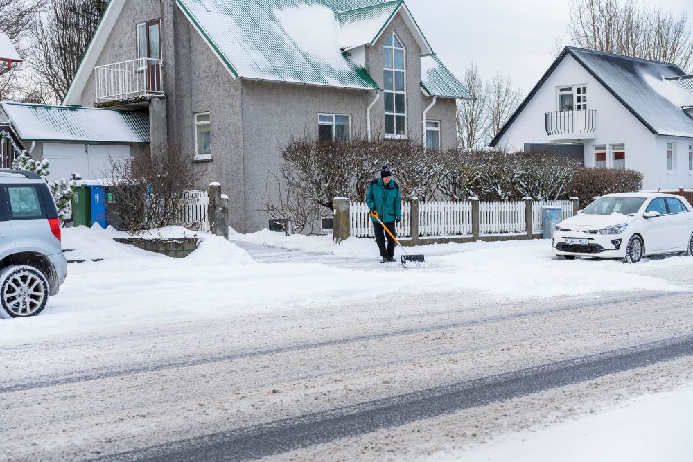 reykjavik tweet picture