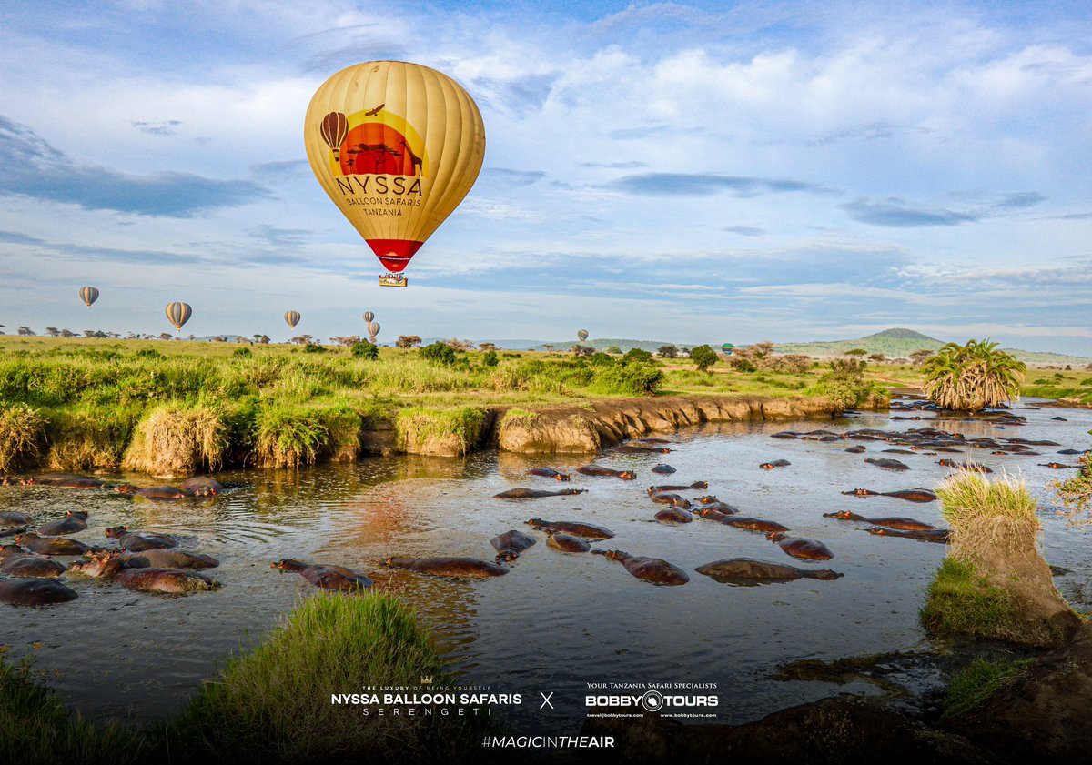 Glide over Serengeti’s landscapes in style with Bobby Tours and Nyssa Balloon Safaris. Experience the thrill of a Serengeti safari for an unmatched view of hippos and other wildlife. Elevate your safari adventure with us.

Book your personalized journey now at