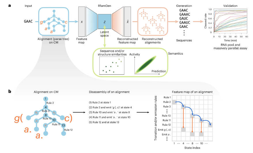 naturemethods's tweet photo. An exciting advance for deep learning in RNA engineering from the Hamada and Saito labs! RNA family sequence generator (RfamGen) is a deep generative model for designing novel, functional RNA sequences. https://t.co/y3oJJ5gx3L https://t.co/SNbu36bMIQ