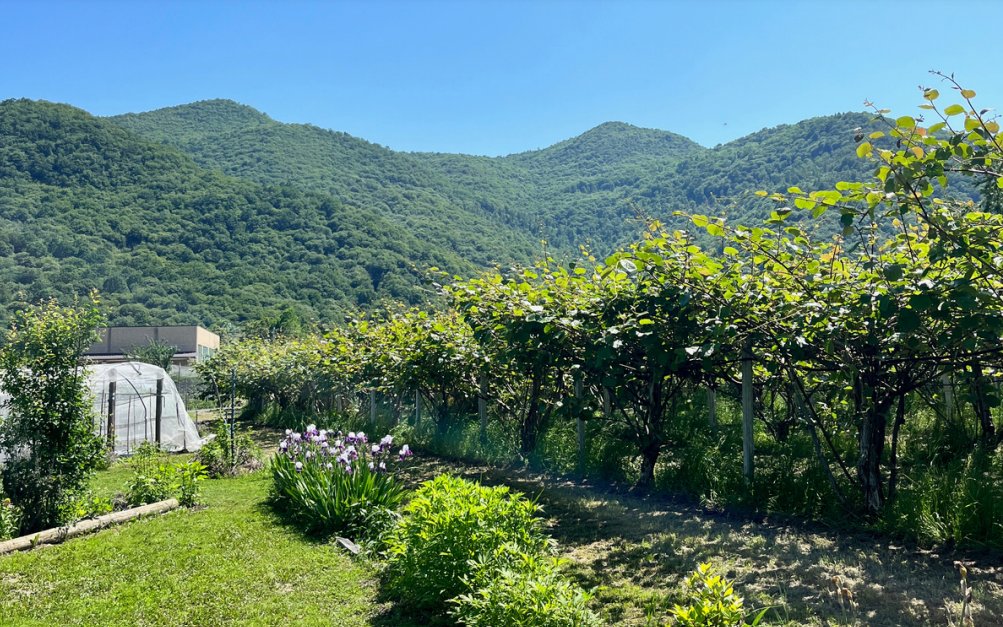 Check out this synthesis framework to guide the #European network of #agroecology #livinglabs and #research infrastructures using an integrative view on #agriculture and farmland #biodiversity and the option space for transformative #change!

ae4eu.eu/wp-content/upl…
