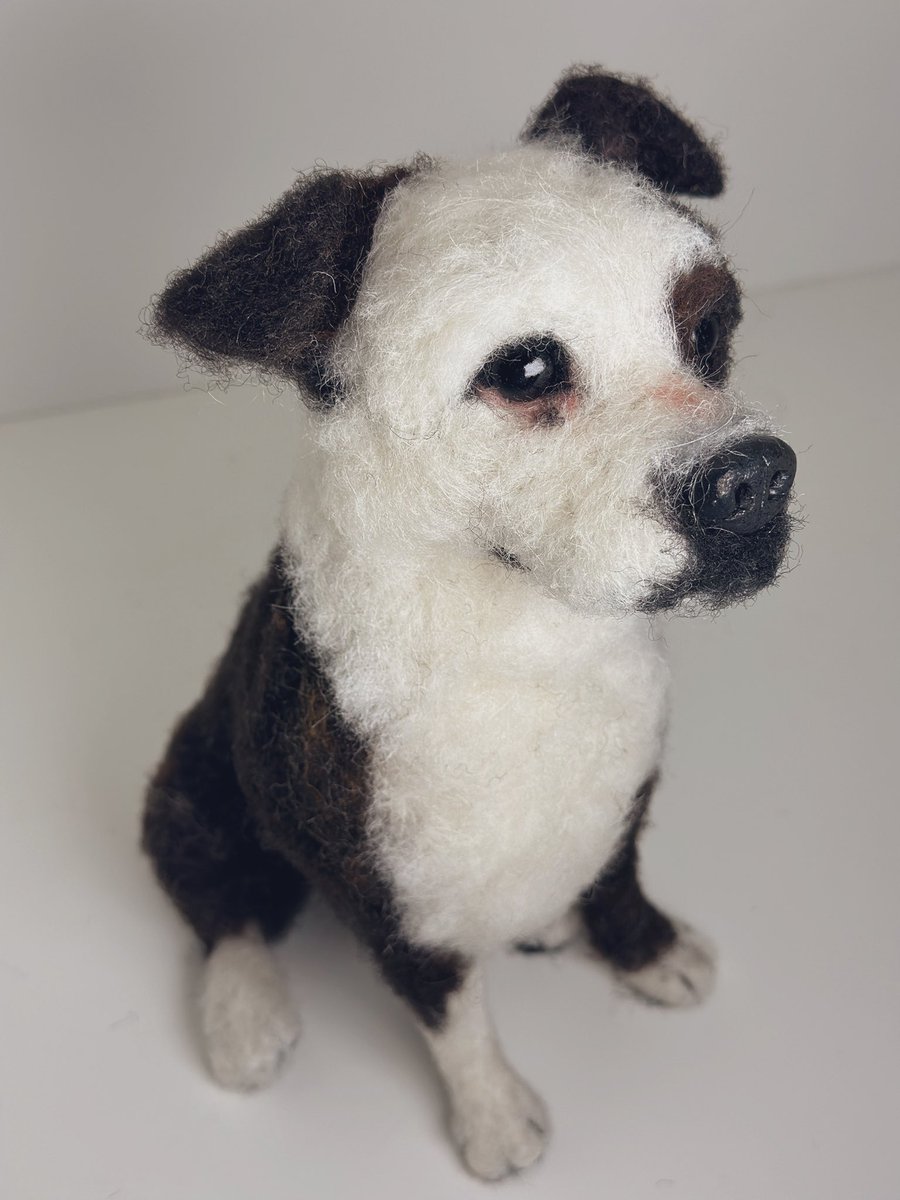 Can share this needle felted Staffy portrait today