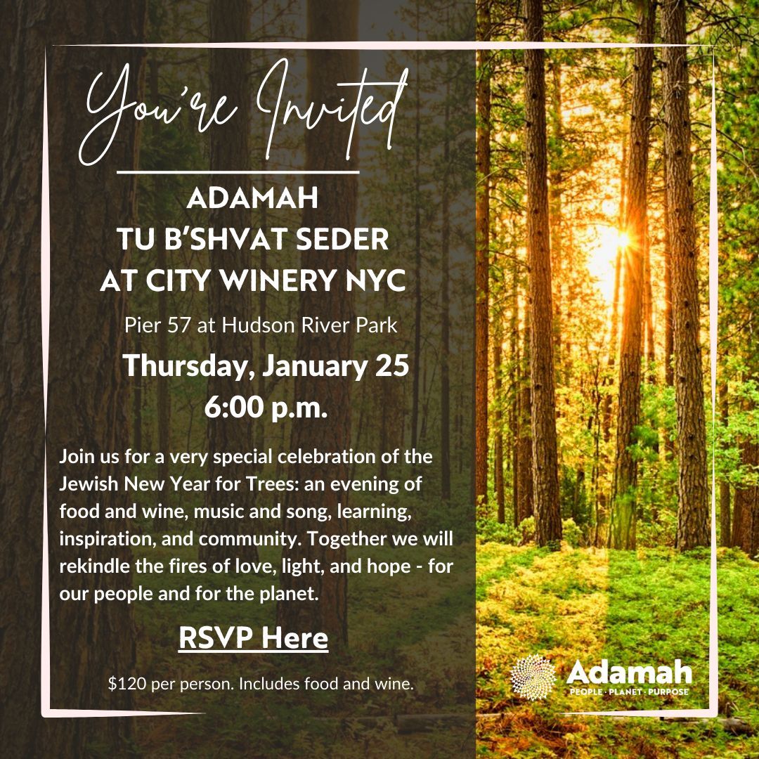 Join us for a special celebration of the Jewish New Year for the Trees: an evening of food and wine, music and song, learning, inspiration, and community. Together we will rekindle the fires of love, light, and hope- for our people and for the planet: buff.ly/47AARlu