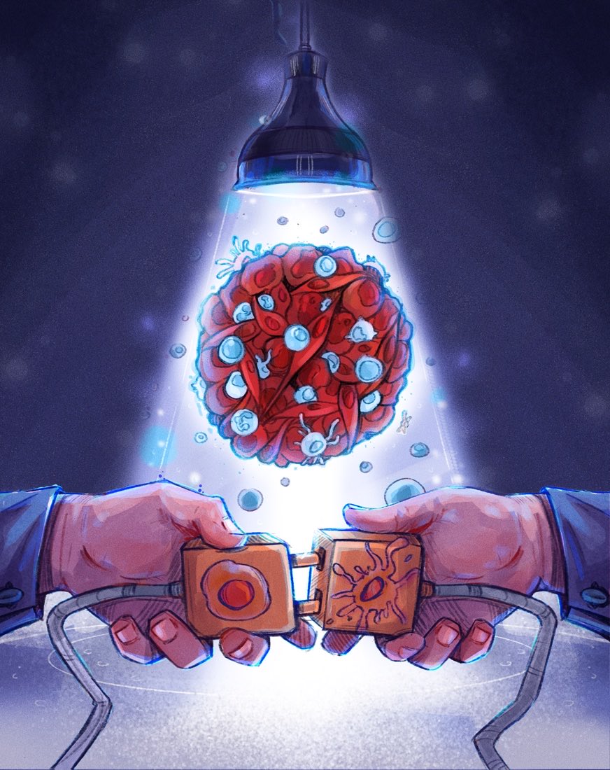 Rony Dahan (@dahanlab) on Twitter photo Together with <a href="/IdoAmitLab/">IdoAmitLab</a> we’re very excited to introduce BiCE (Bispecific DC-T Cell Engager)- a new platform to engineer immune cell communication for #cancer #immunotherapy. Led by the amazing <a href="/yuval_shap/">Yuval Shapir Itai</a> <a href="/orenbarboy/">Oren Barboy</a>, now out <a href="/CellCellPress/">Cell</a>: cell.com/fulltext/S0092…
(1/11) Together with <a href="/IdoAmitLab/">IdoAmitLab</a> we’re very excited to introduce BiCE (Bispecific DC-T Cell Engager)- a new platform to engineer immune cell communication for #cancer #immunotherapy. Led by the amazing <a href="/yuval_shap/">Yuval Shapir Itai</a> <a href="/orenbarboy/">Oren Barboy</a>, now out <a href="/CellCellPress/">Cell</a>: cell.com/fulltext/S0092…
(1/11)