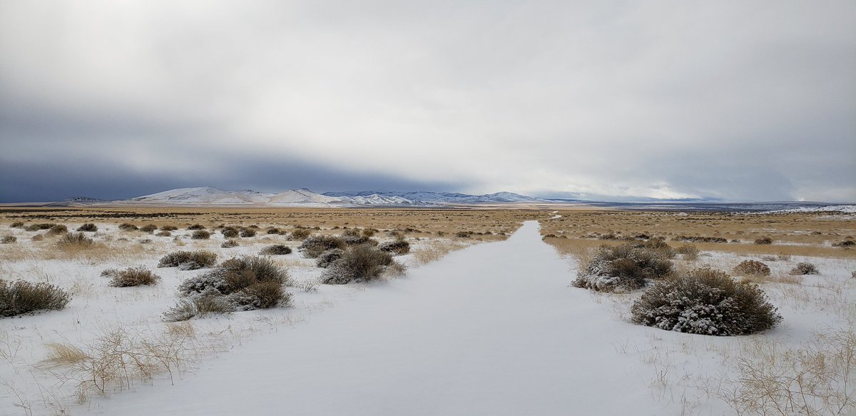 Untouched snow in the Oregon High Desert near the Sunstone Collection Area

Sunstones were formed 14 mil years ago when a volcano erupted near Steens Mountain. Now, public lands visitors can collect them! Please check if roads are safe before heading out.