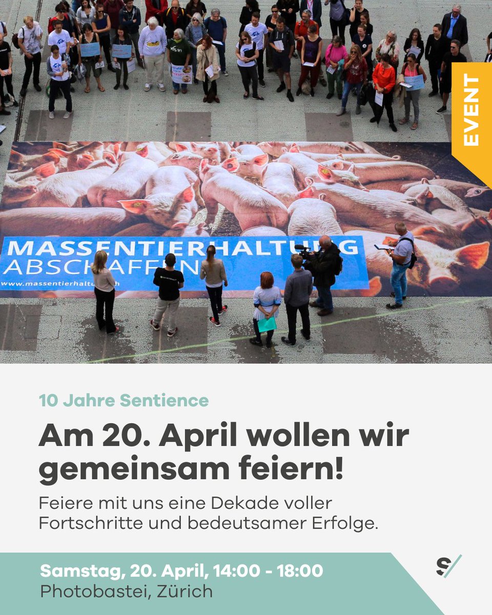 Sentience – Politik für Tiere tweet media