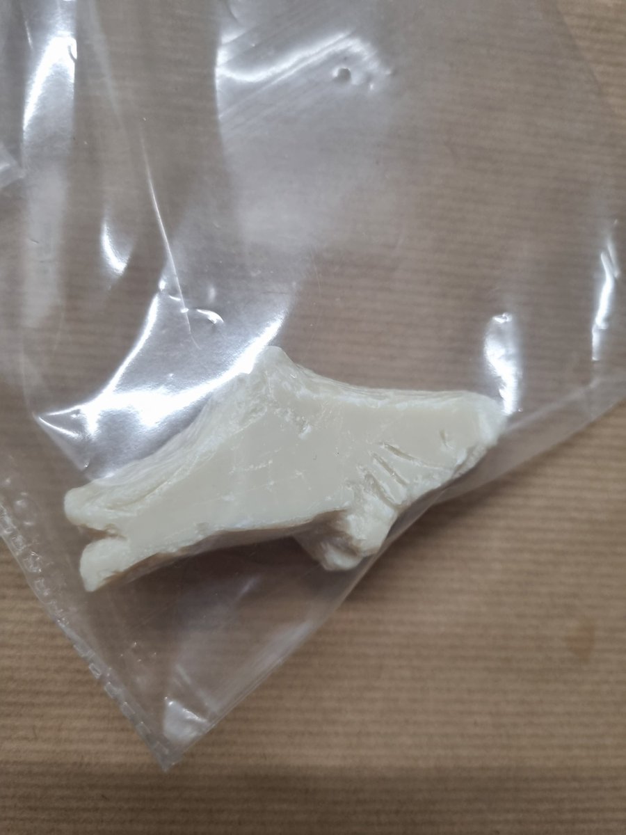 Miss Tuplin Y6 tweet media