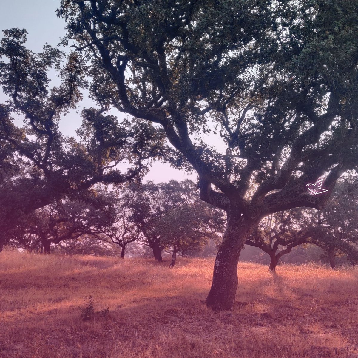 traditionaldreamfactory ๐ฑ $TDF ๐ (@tdfinyourdreams) on Twitter photo TDF is a prototype for a much larger vision of <a href="/oasaliving/">OASA ๐ฑ๐</a>.
Our vision? To transform real estate into a force for good. We're committed to restoring soils, enhancing water cycles, and storing carbon, all while creating equity for our members and boosting the local economy. ๐ณ๐ง TDF is a prototype for a much larger vision of <a href="/oasaliving/">OASA ๐ฑ๐</a>.
Our vision? To transform real estate into a force for good. We're committed to restoring soils, enhancing water cycles, and storing carbon, all while creating equity for our members and boosting the local economy. ๐ณ๐ง