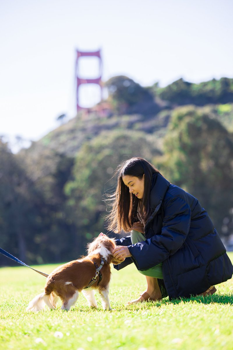 Only the best for your paw-fect pup. Enjoy a two-night stay and a tailored training experience with our exclusive Top Dawg Program. 

Learn more: bit.ly/3IMw9rd